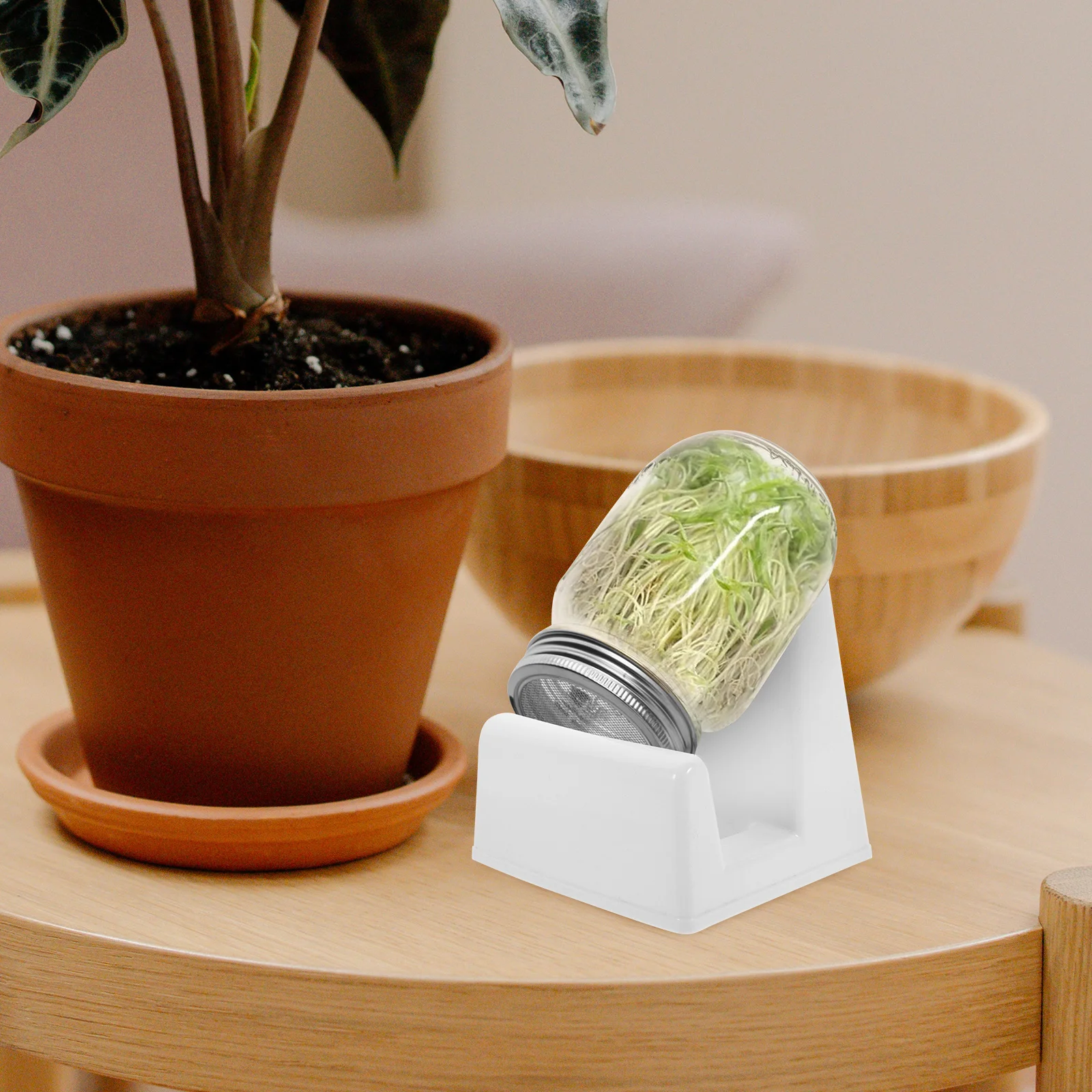 2 stücke Sprießen Stehen Für Mason Gläser Kunststoff Anlage Wachsenden Rack Wiederverwendbare Lagerung Halter Jar Stehen Halterung Desktop Sprießen