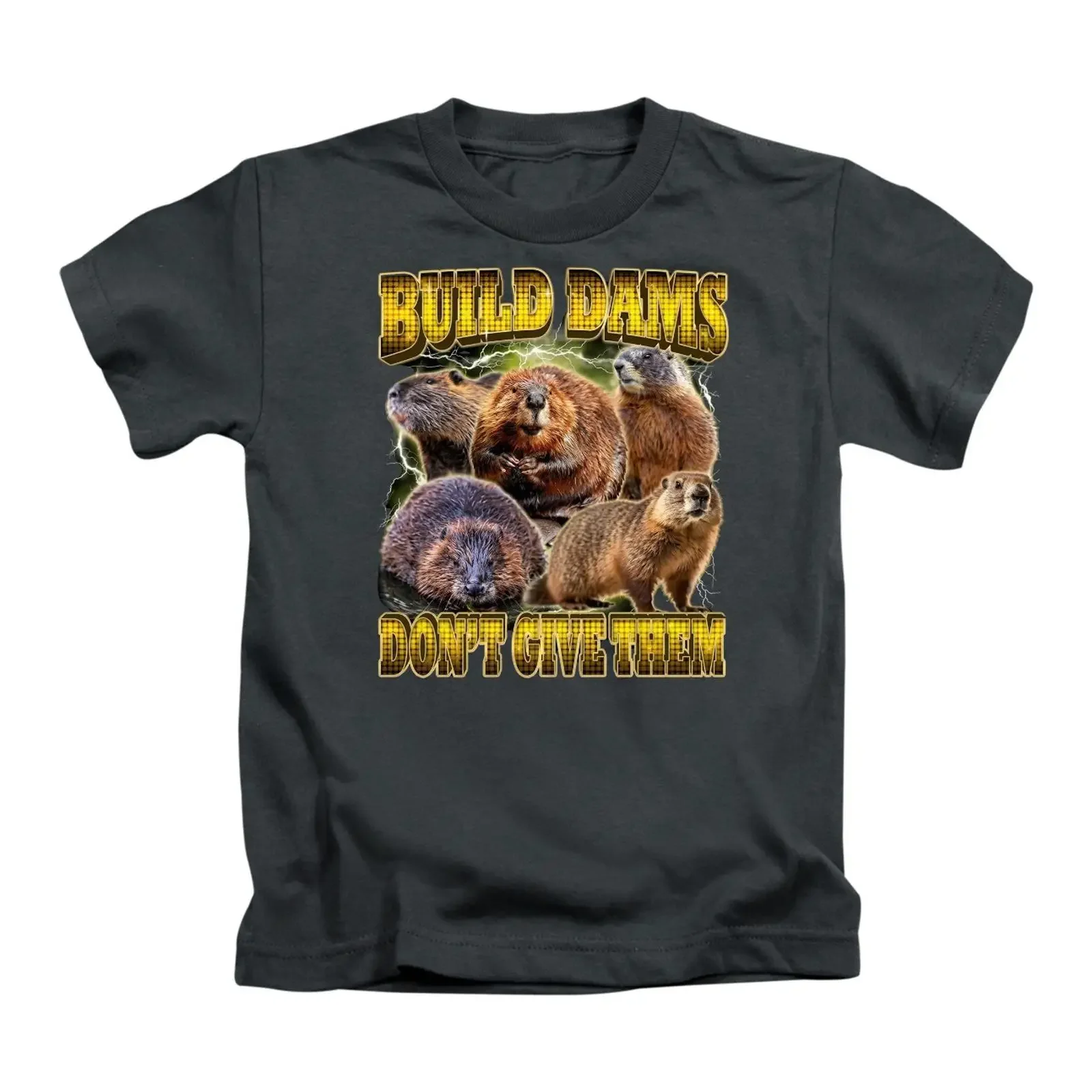 Build Dams Don't Give Them Erwachsene T Shirt lustig Meme inspiriert Oberteil vintage Washed graphic fashion streetwear