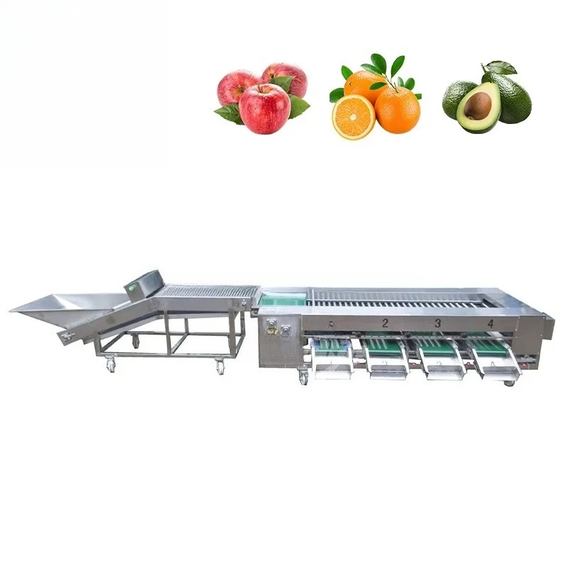 Automatic Lemons  Grading Machine Orange Tomato Avocados Banana Blueberry Cherry Tomato Sorting Machine Lemons Grader