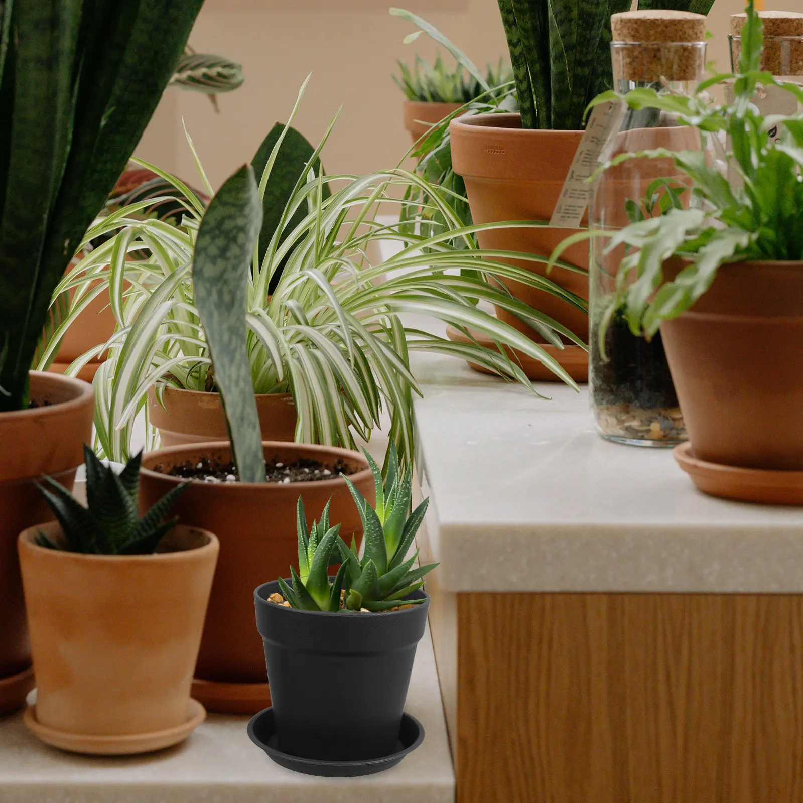 

10Pcs Thickened PP Flower Pots for Indoor Outdoor Use Desktop Balcony Garden Planter Pots for Succulents Small Plants Plastic