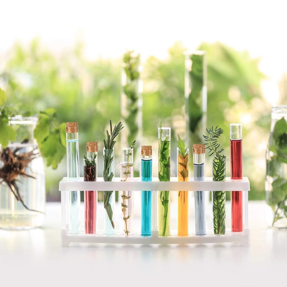 Supplies Teaching Equipment Laboratory Clear Plastic Test Tubes Storage Containers Wedding Favor Gift Tube With Corks Caps