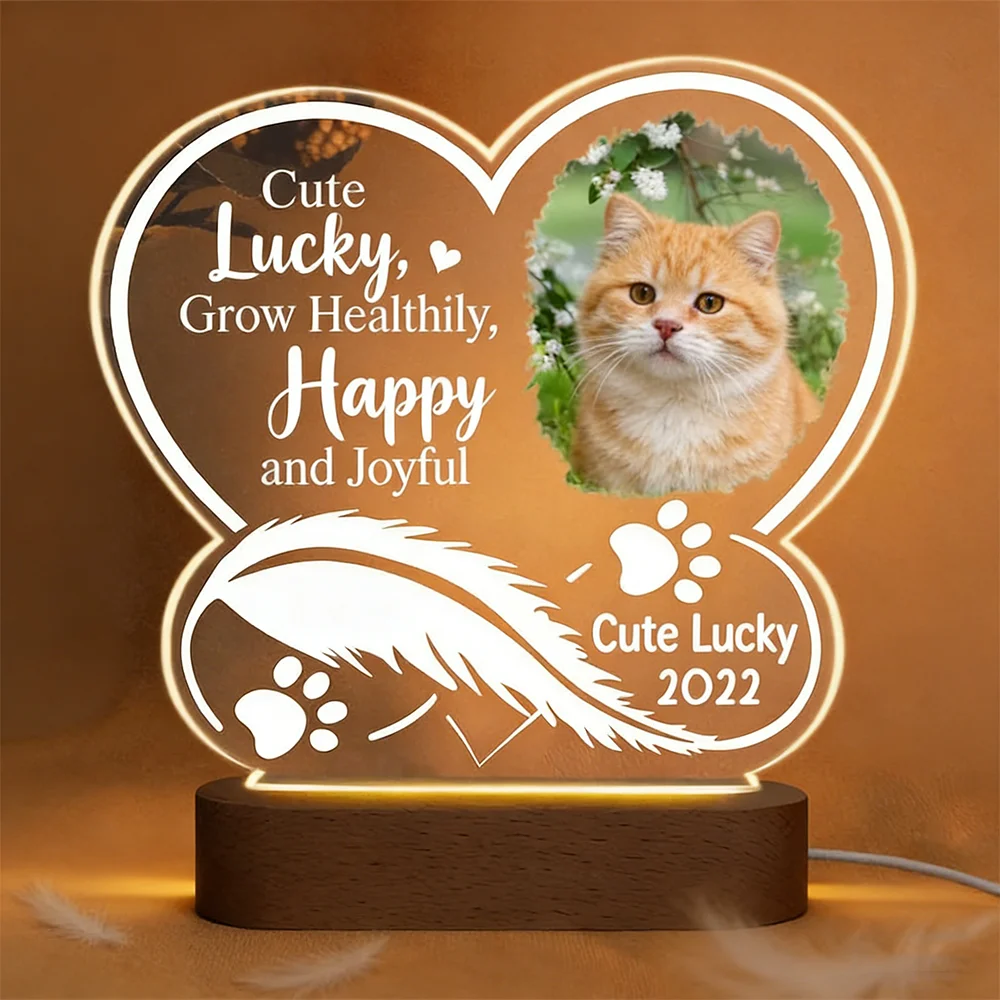 

Персонализированный портрет питомца, светодиодный ночник с фото питомца, USB-порт, 3 цвета, регулируемая яркость, безопасный, экологичный, теплый зимний подарок для любителей животных