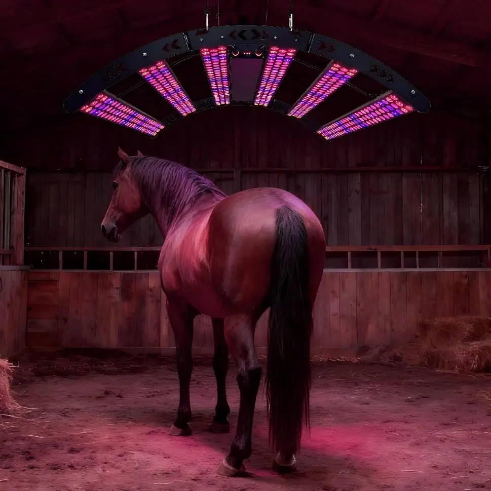 LED Pulse&Dimmer&Timer 3 Channel Remote Control 470/630/660/810/830/850nm Red&Infrared&Blue Light Therapy Horse