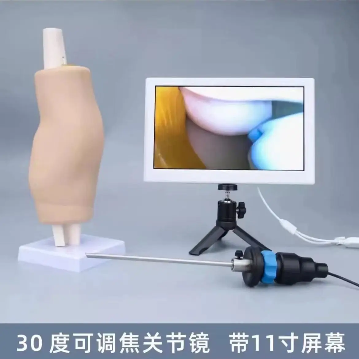 Knee joint simulation training exercise model medical teaching training simulator 30 degree adjustable focus arthroscopy