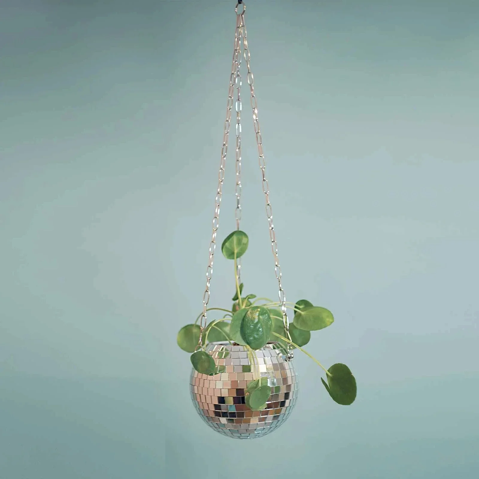 Maceta colgante con forma de globo, florero con forma de bola de discoteca, macetas de flores, cesta colgante de cuerda, estilo bohemio, decoración de jardín