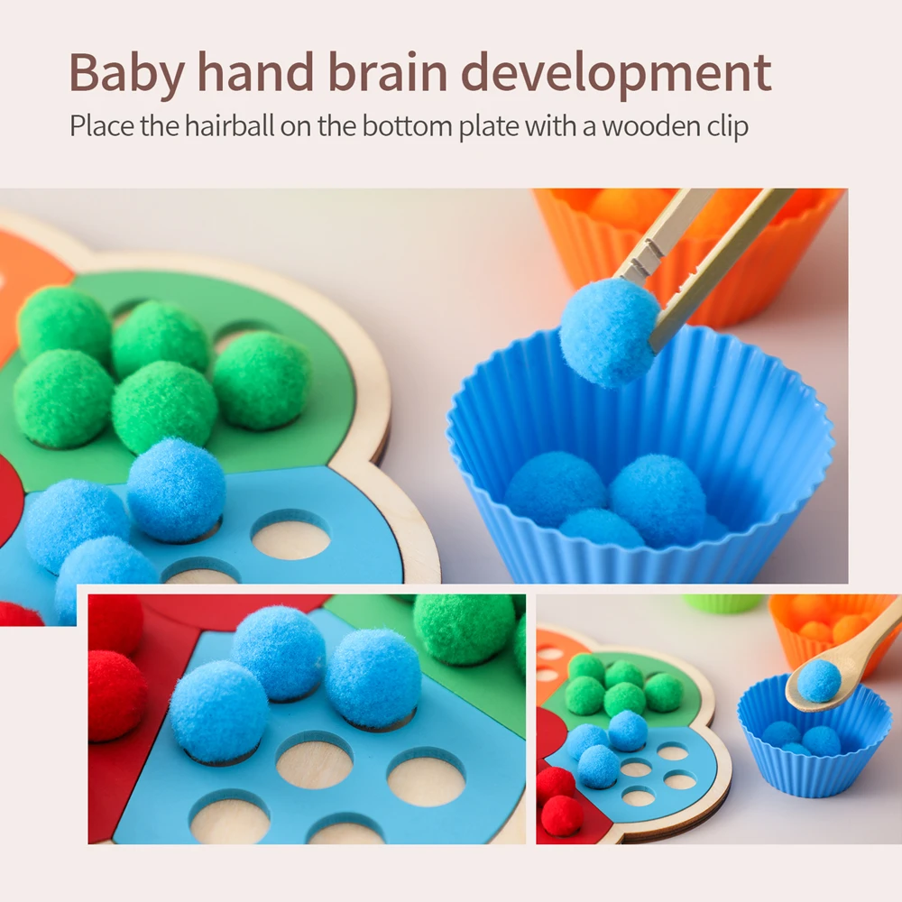 Flower Rainbow Sorting Toys Pompom Clip Game Beech Wood Baby Toys Fine Motor Skills Color Recognition Hand Eye Coordination Gift