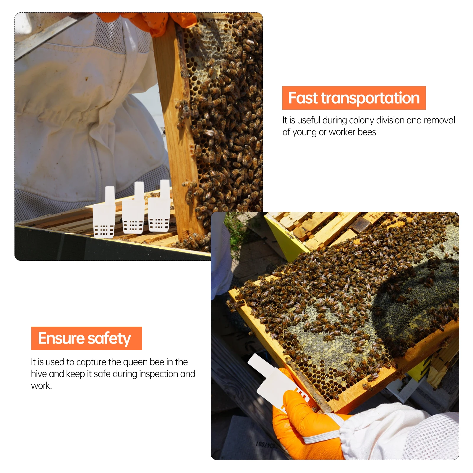 

10 Pcs Durable Plastic Cages Lightweight Portable for Safe Transport Inspection White Breeding