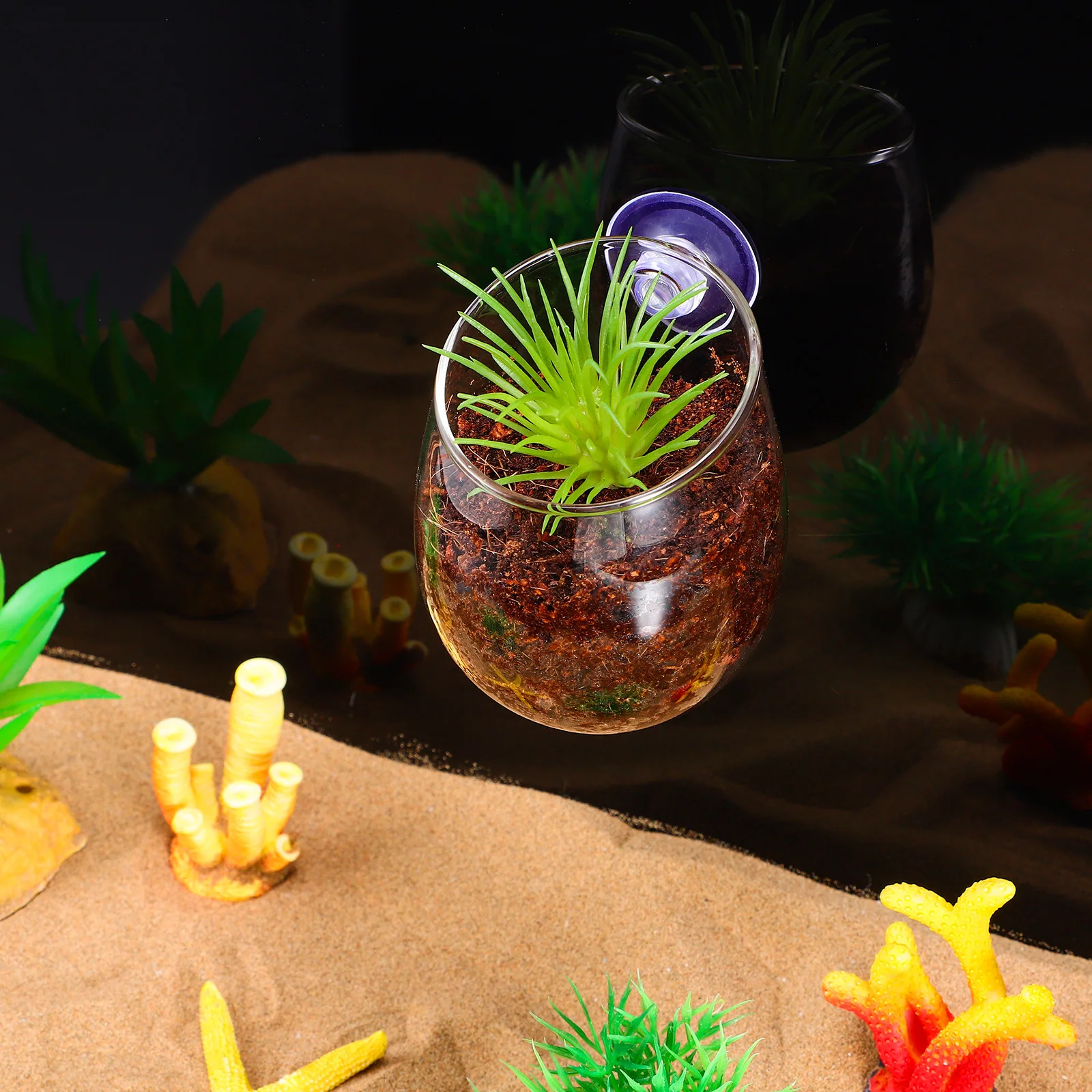 

2Pcs Decoration Aquarium Aquatic Plant Holders Suction Glass Fish Tank Planter Cups Supplies Aquarium Plant Holder