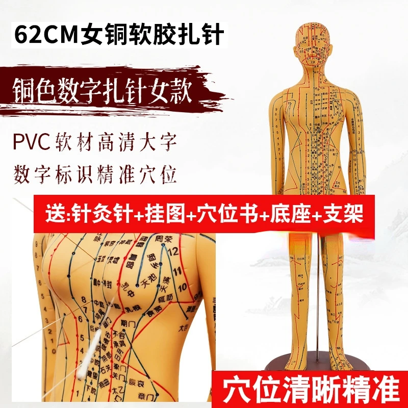 

Acupuncture and moxibustion human acupoints and meridians model figure of twelve bronze figures in traditional Chinese medicine