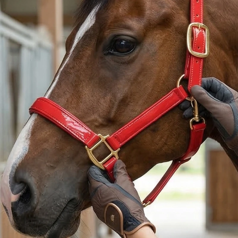  Premium Leather Horse Bridle Waterproof Designs And Breathable Inner Padding