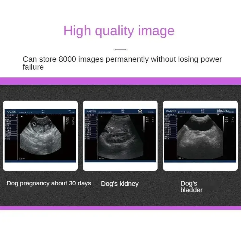 Hot SalesDog Cat Pregnancy Testing Machine LED Screen Laptop Veterinary Ultrasound Scanner Disease Scanner Professional Level