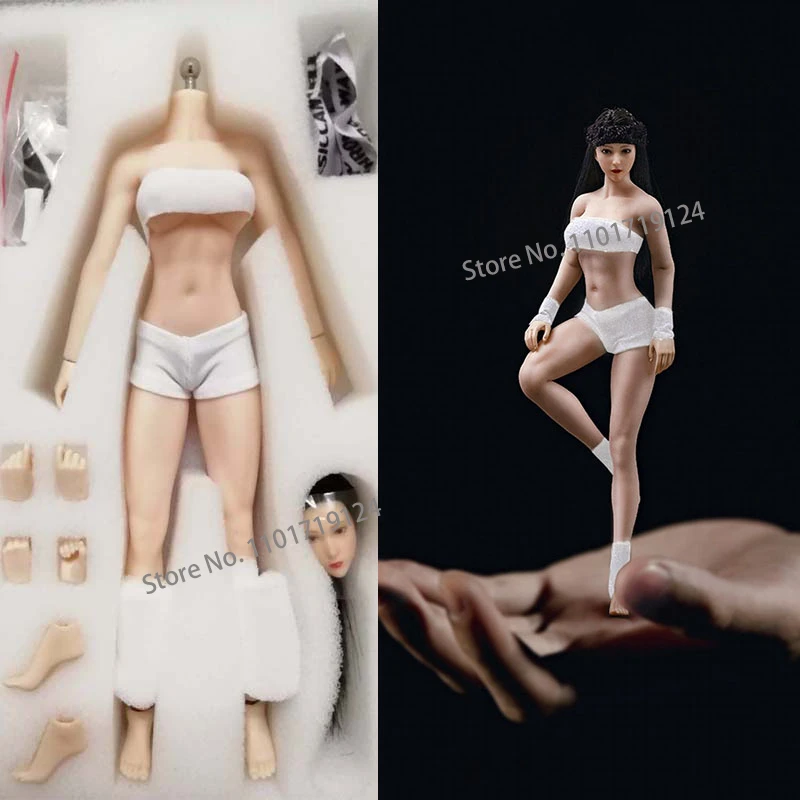 TBLeague PHMB2018-T01A/B 1/12 Pale Suntan Seamless Medium Breast Girl Body TBL PH 6'' Female Soldier Action Figure Model