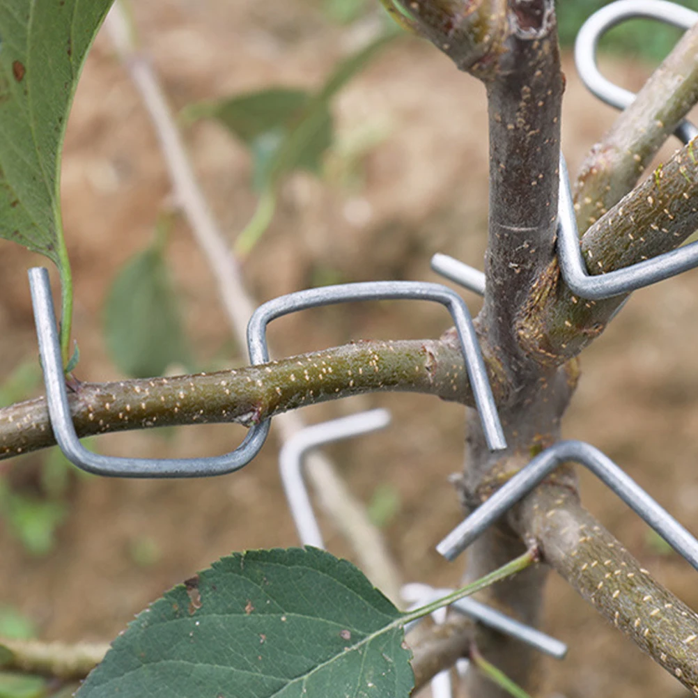 Plant S Shape Branch Benders Fruit Tree Branch Spreader Forms  Puller Branch Bending Support The Growth New Branches Fixing Tool