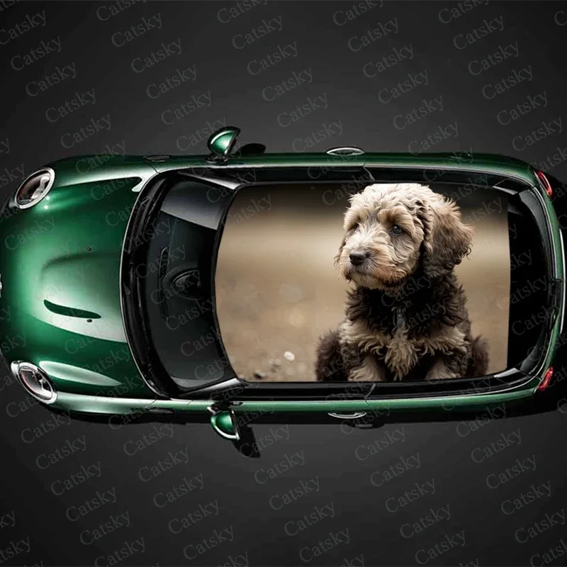 Lagotto Romagnolo Car Roof Sticker Wrap Racing SUV Accessories Packaging Painted PVC Custom Car Graphic Decal