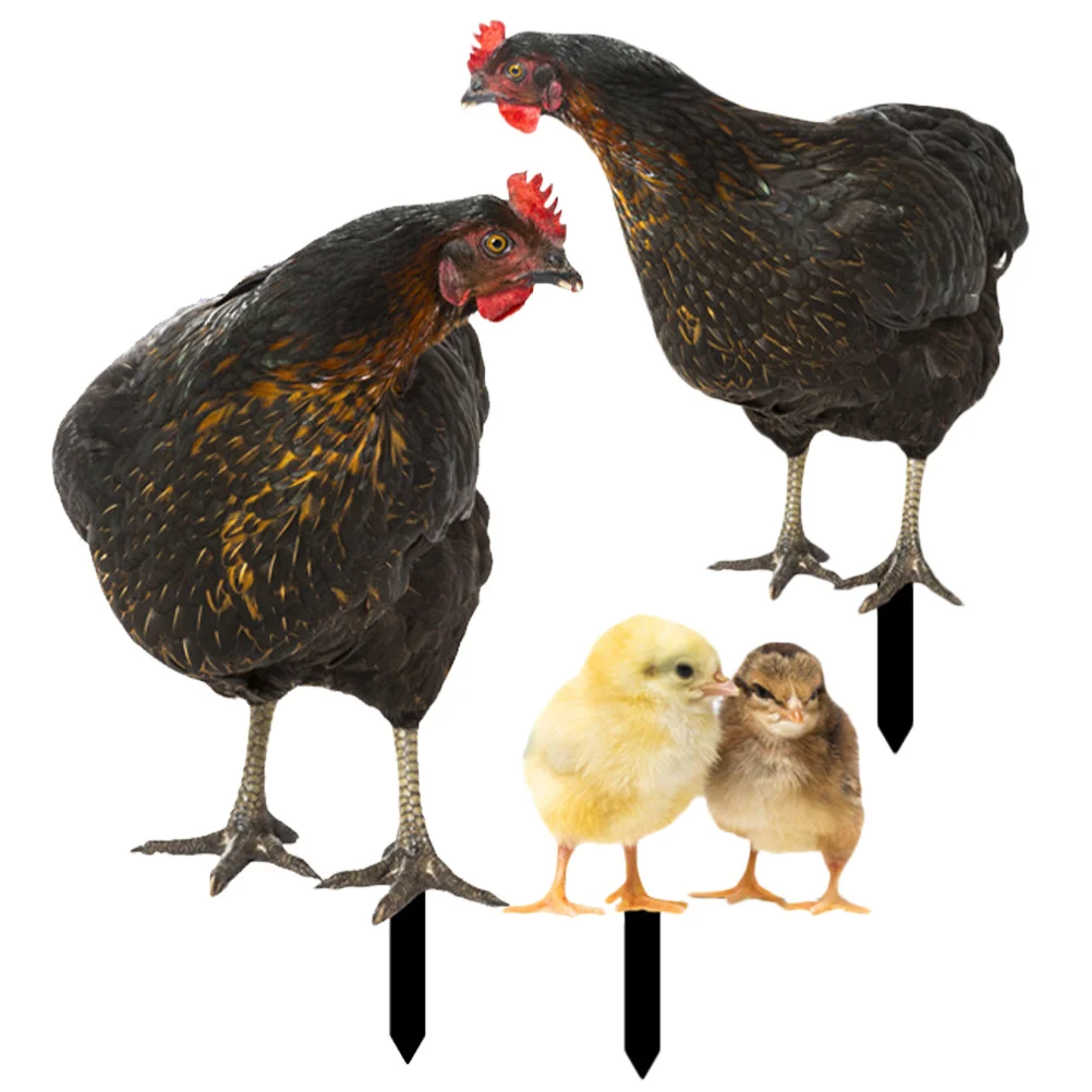 1 Set Of Chicken St… - image