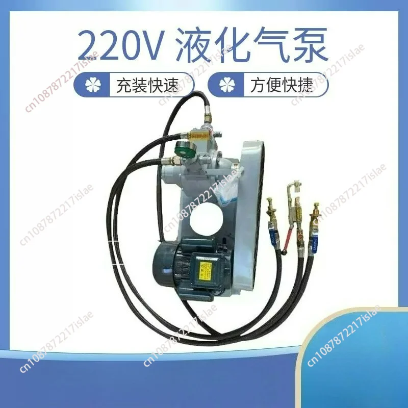 12V 220V 48V, Portable High Pressure Gas Transfer Pump for Car Home Cylinder Refilling