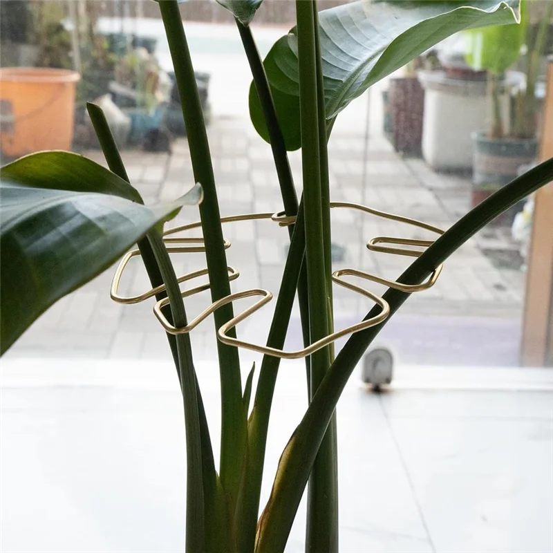 Поддержка стебля Monstera, 5 шт., система поддержки растений для растений Monstera и черепахи, ракушки, качественные зажимы для листьев-AT64