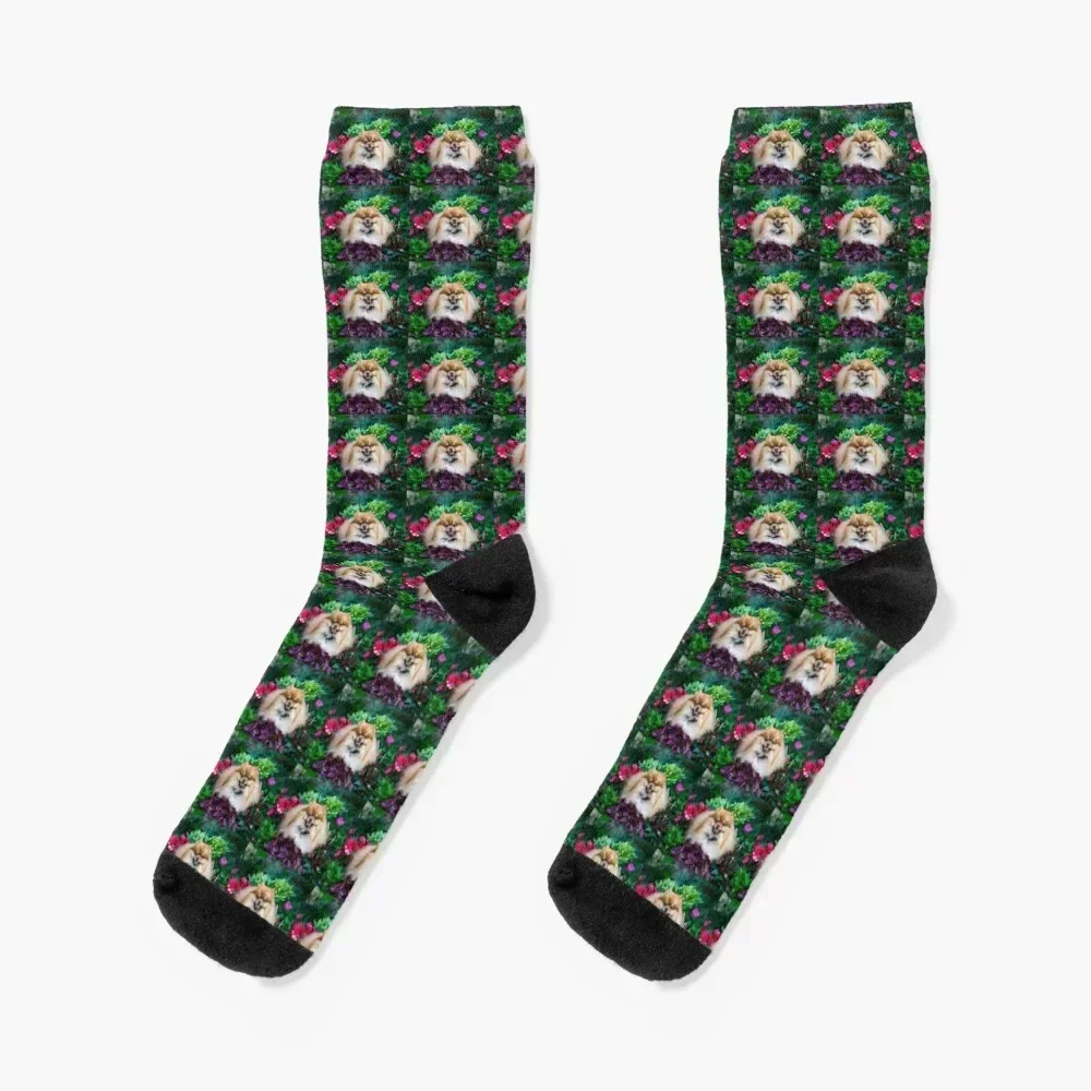 Pom in the Flower Garden Socks sheer with print Socks For Man Women's