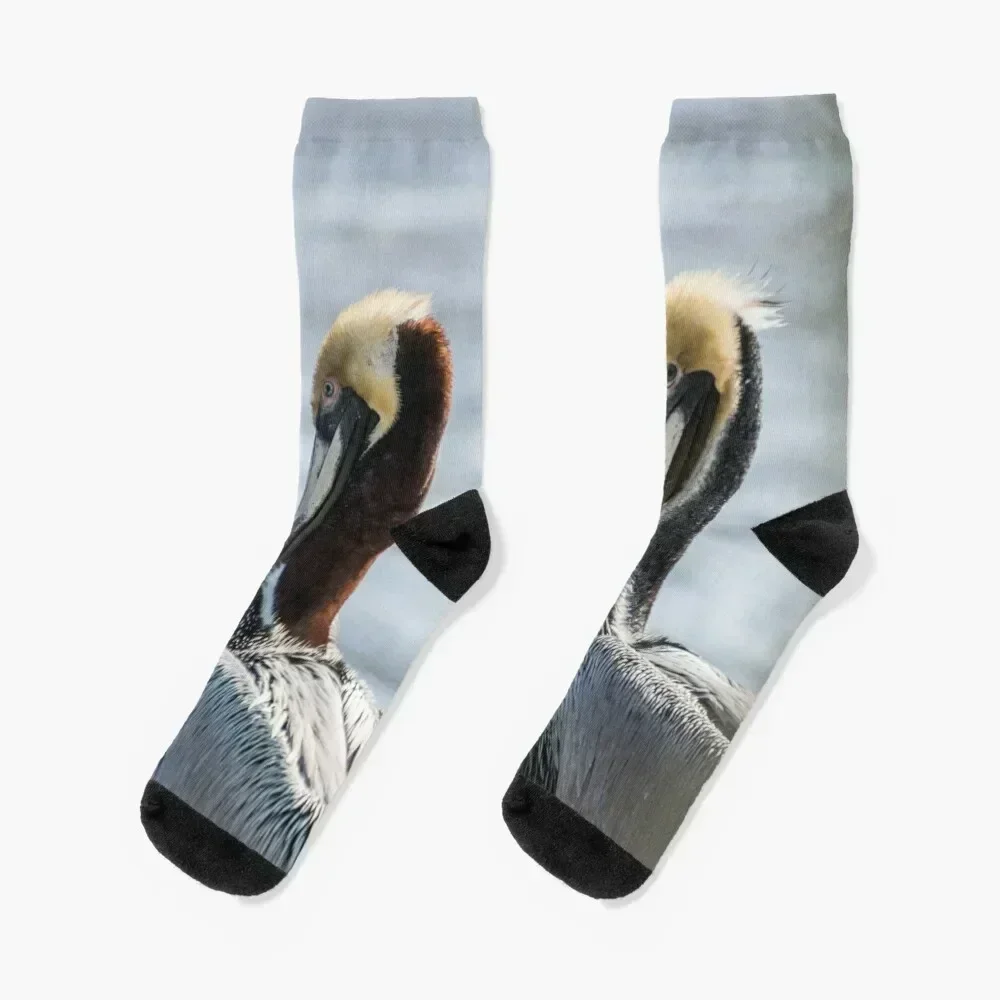 

Brown Pelican 3 Socks heated Running moving stockings sport Women Socks Men's