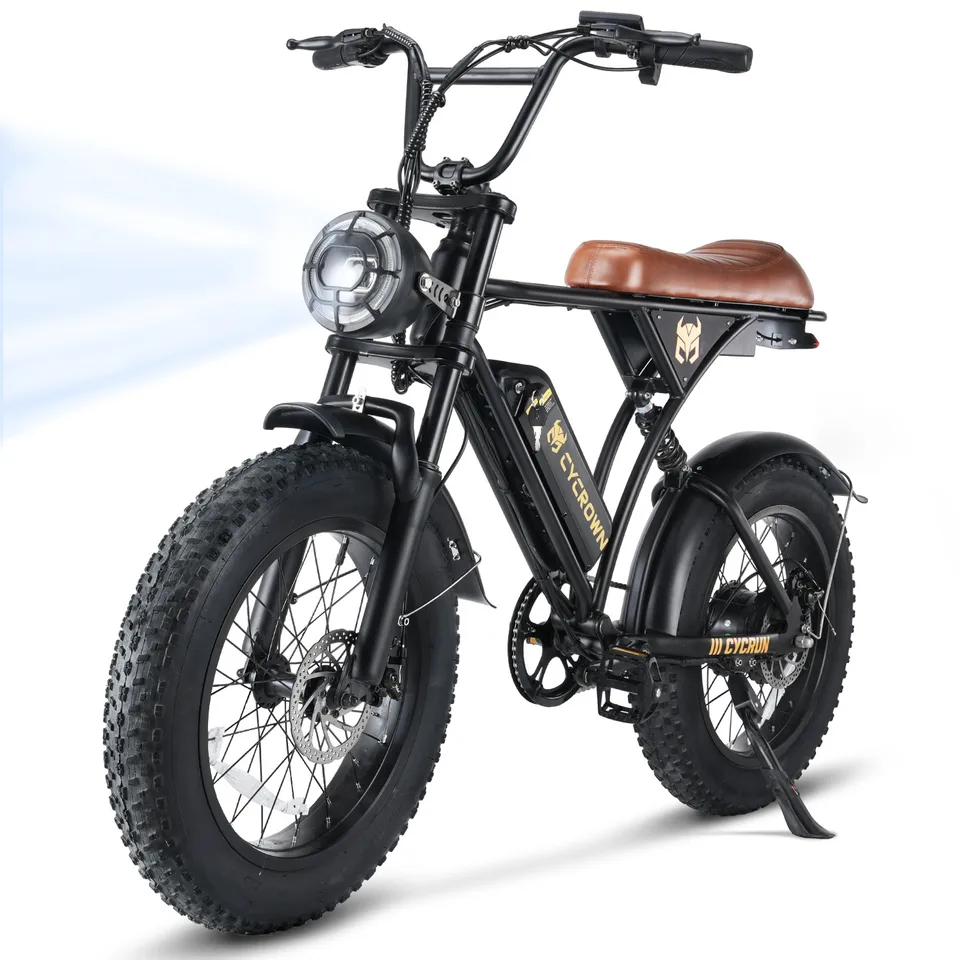  750W E Bike Fat Tire 20 Inch 32 Mile Range Dual Disc Brake LCD image 5