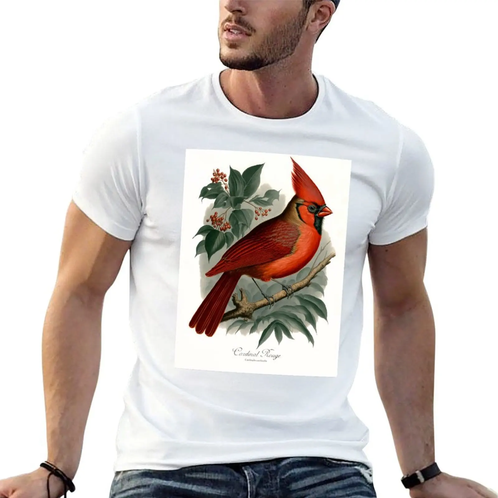 Northern Cardinal Antique Style Print T-Shirt funny t shirts cotton man t shirts graphic man t shirt designer T-shirt