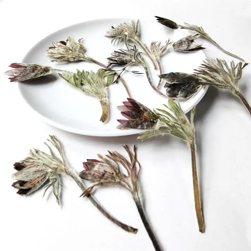 عينات نباتية جديدة، زهور حقيقية مع سيقان، مجموعة مواد الزهور المضغوطة، حافظة هاتف من راتنجات الإيبوكسي، إشارة مرجعية يدوية الصنع، مصباح مكتبي، ملصقات إطار الصورة