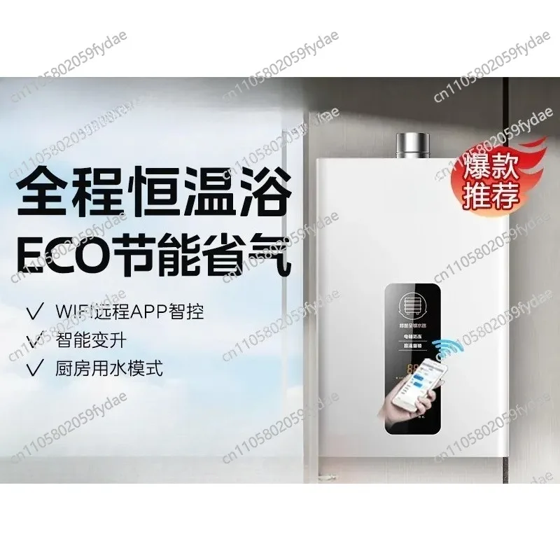 Gas Water Heater Natural Liquefied Gas Household TP1 Intelligent Variable Lift Energy Saving Strong Discharge 12L13/16 Liters