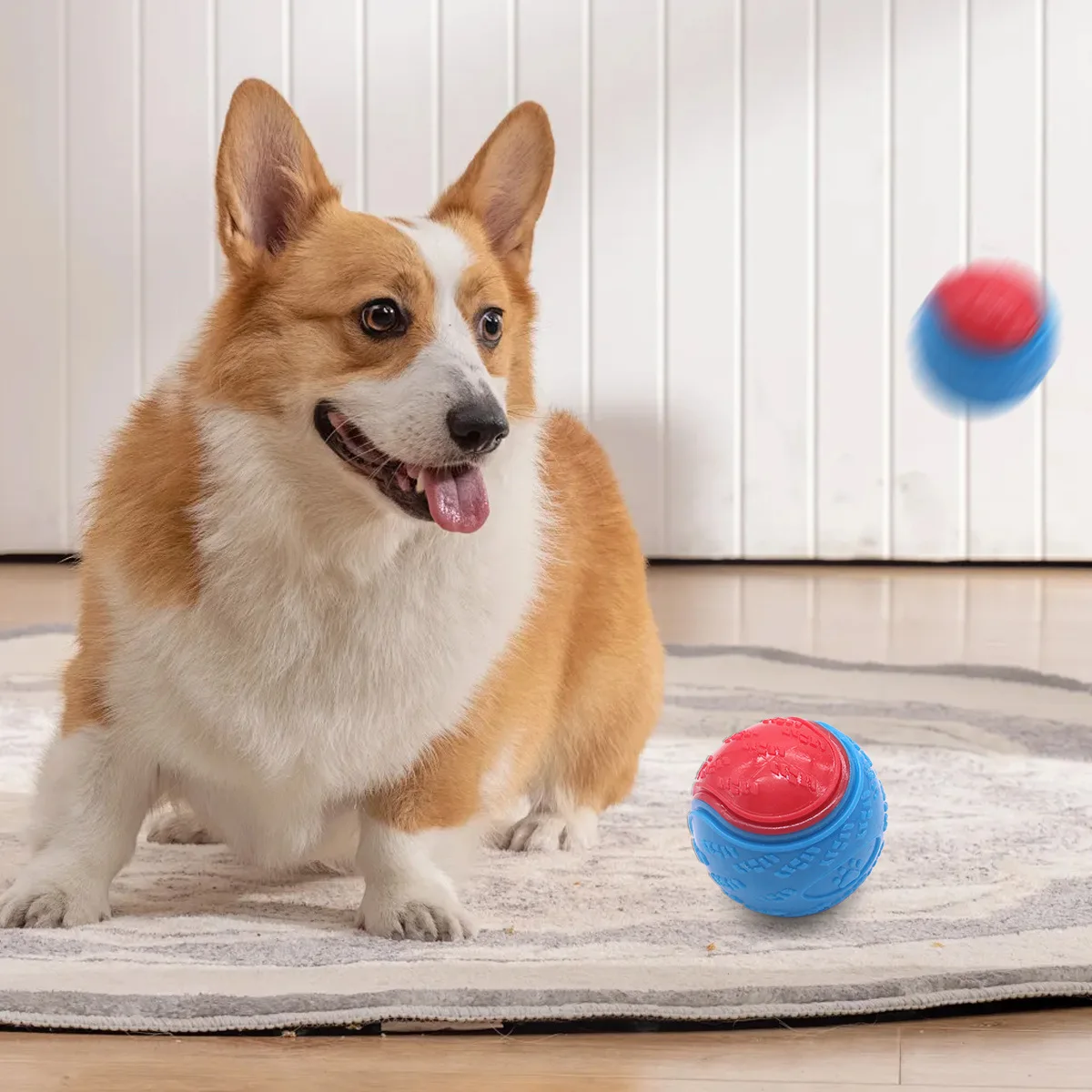 TPR Squeaky Hollow Pet Toy Ball Durable Chew Toy for Dogs Ca