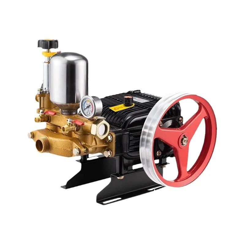 

Садовые инструменты, 26 типов, опрыскиватель для фруктовых деревьев, сельскохозяйственная электрическая лейка, садовый трехцилиндровый плунжер, скорость 800-1200 об/мин