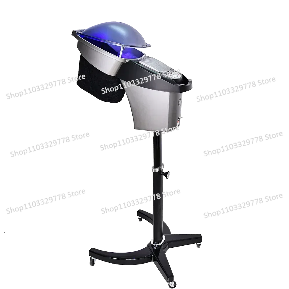 Professional Micro Mist Ozone Hair Salon Steamer with Stand&Hair SPA Standing Hair Steamer