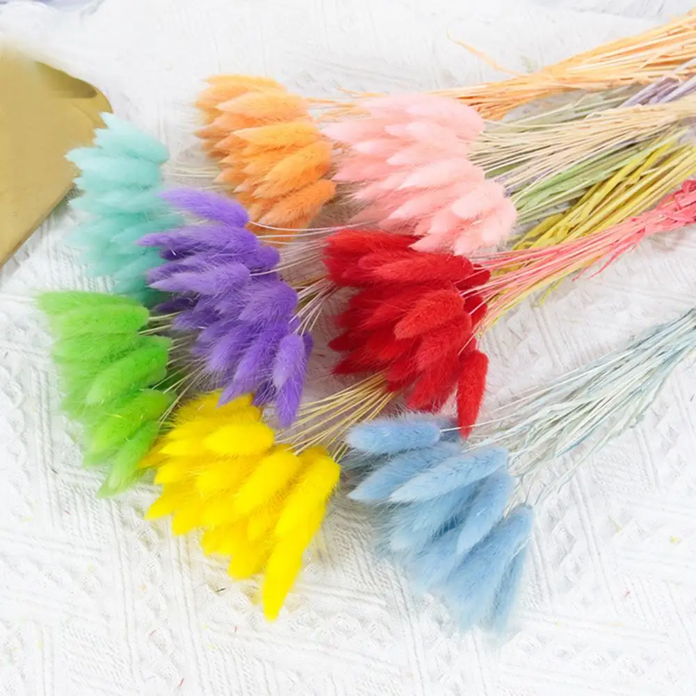 1 Set Hare Tail Grass Useful Lightweight Bunny Tail Grass Natural Flower Party Home DIY for Festival