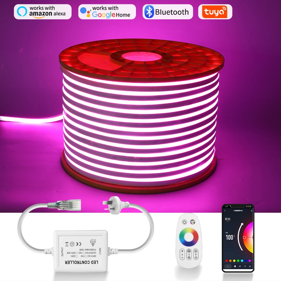 

220V Dimmable RGB Neon LED Rope Light Design for Theater/Bar/Exterior Wall Decor WiFi Tuya/RF Control RGB Strip IP65 Waterproof