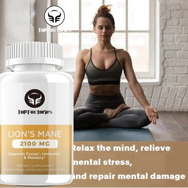 유기 두뇌 강화 퍼즐, 사자 갈기 버섯 캡슐, 흡수 강화제 및 면역 지지대 포함
