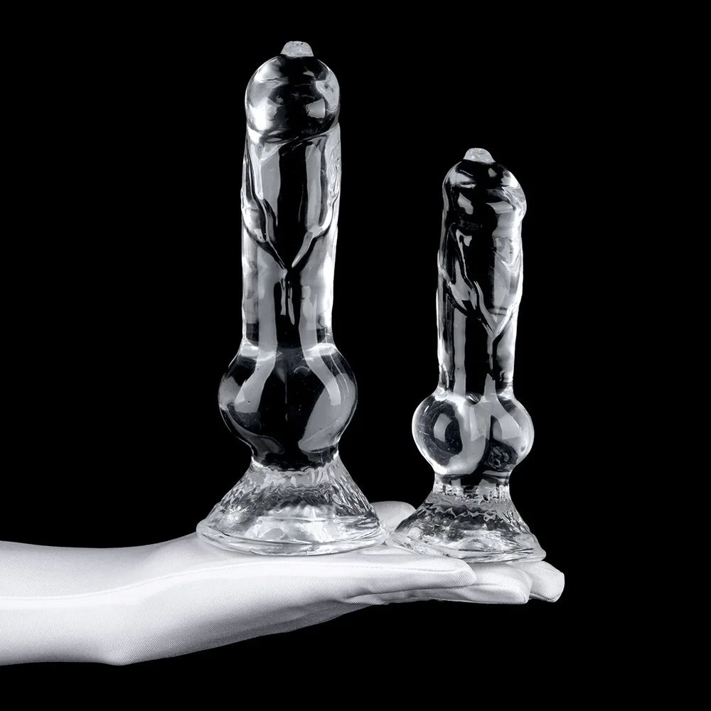 Realistic Jelly Dog Dildos Simulation Penis Animal Dildo Anal With Suction Cup Adult Toy Sex Toy For Woman Lesbian Strapon Dildo