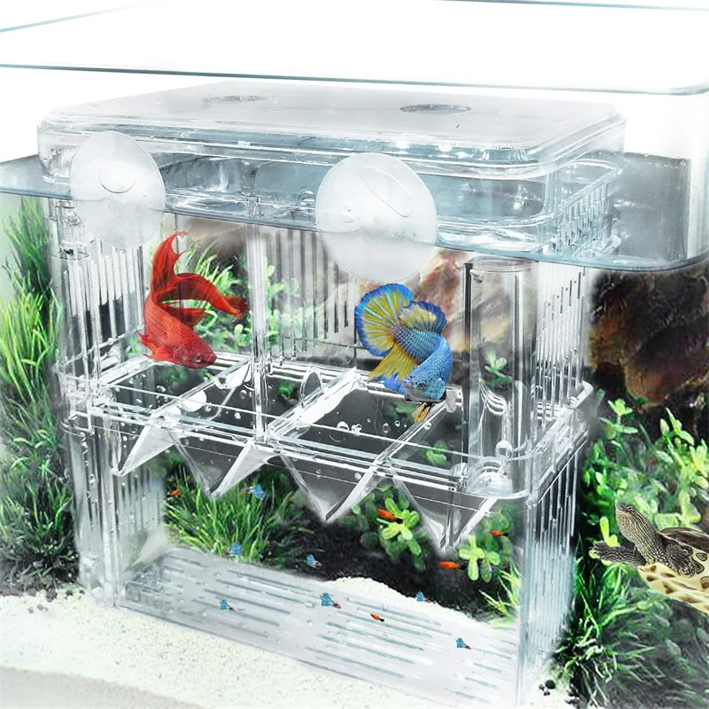 Peacock Fish Breeding Box Fish Aquarium Acrylic Isolation Box Fish Tank Hatchery Incubator Breeder Box