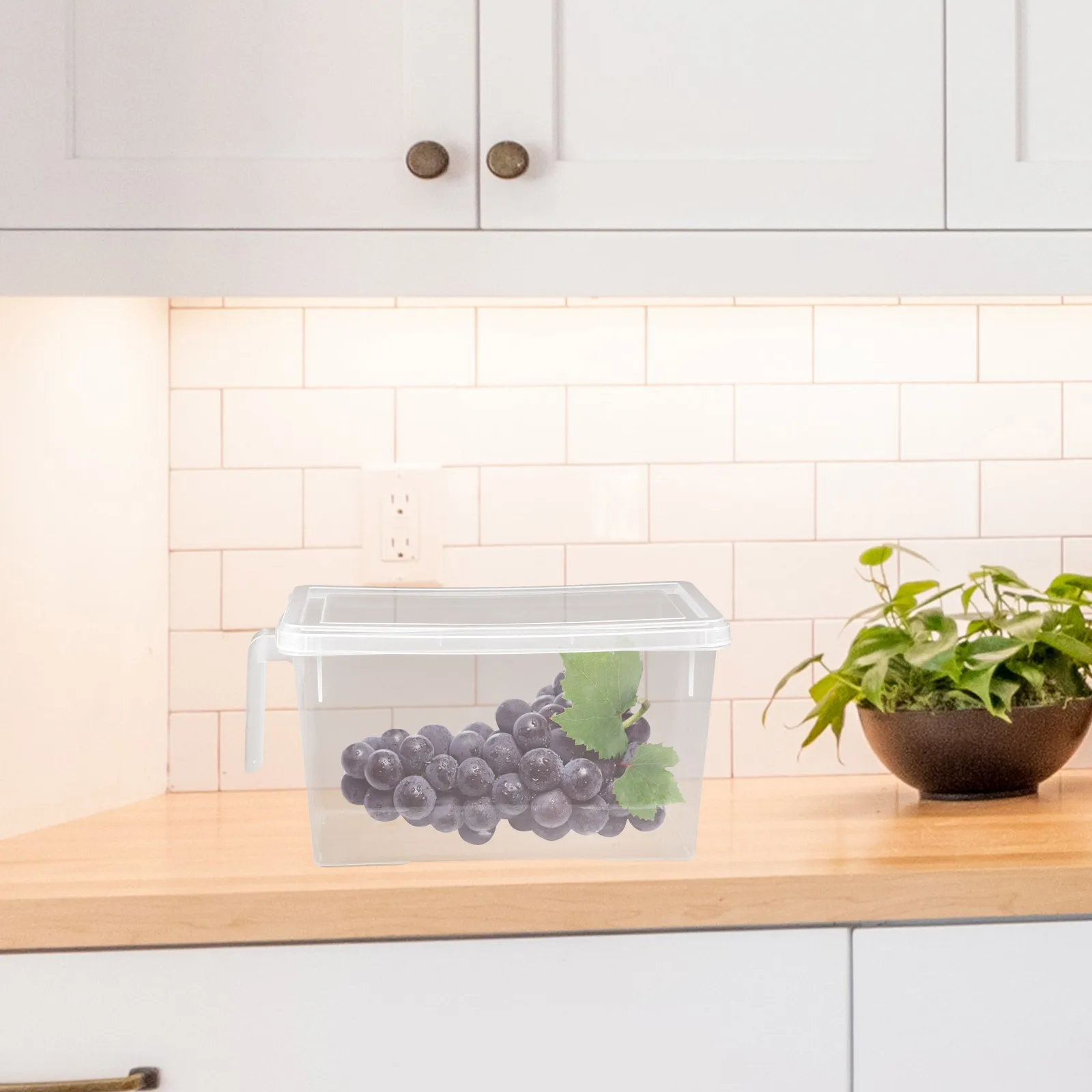 

Refrigerator Storage Container Crisper Box for Fridge Egg Bin Household Supplies Fruit Snack Organizer
