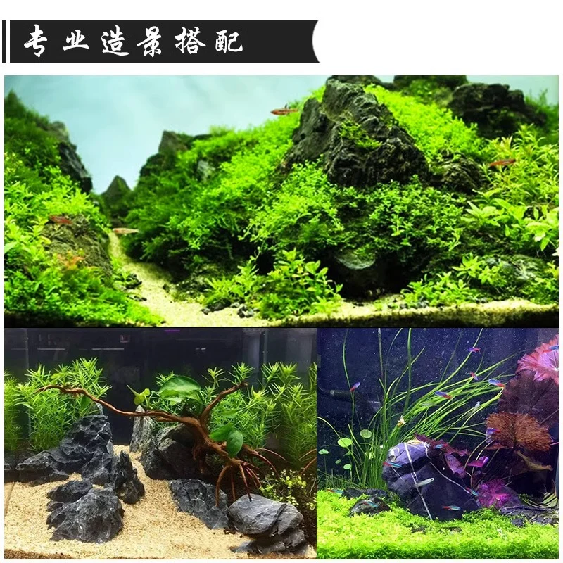 Blue Dragon Stone Fish Tank Landscaping Is Rough Stone Landscaping Stone Ornaments Aquarium Ornaments Aquarium