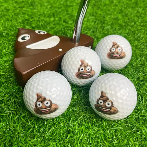 CRESTGOLF 재미있는 골프 공 똥, 독특한 디자인, 맞춤형 스타일, 노벨티 골프 공, 골퍼를 위한 멋진 선물, 팩당 6 개