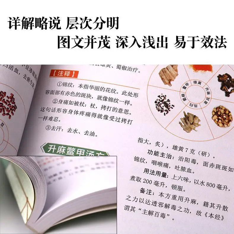 Typhoid Fever Zhang Zhongjing + Brief Introduction Of The Golden Chamber Two Tcm Clinical Series Libros