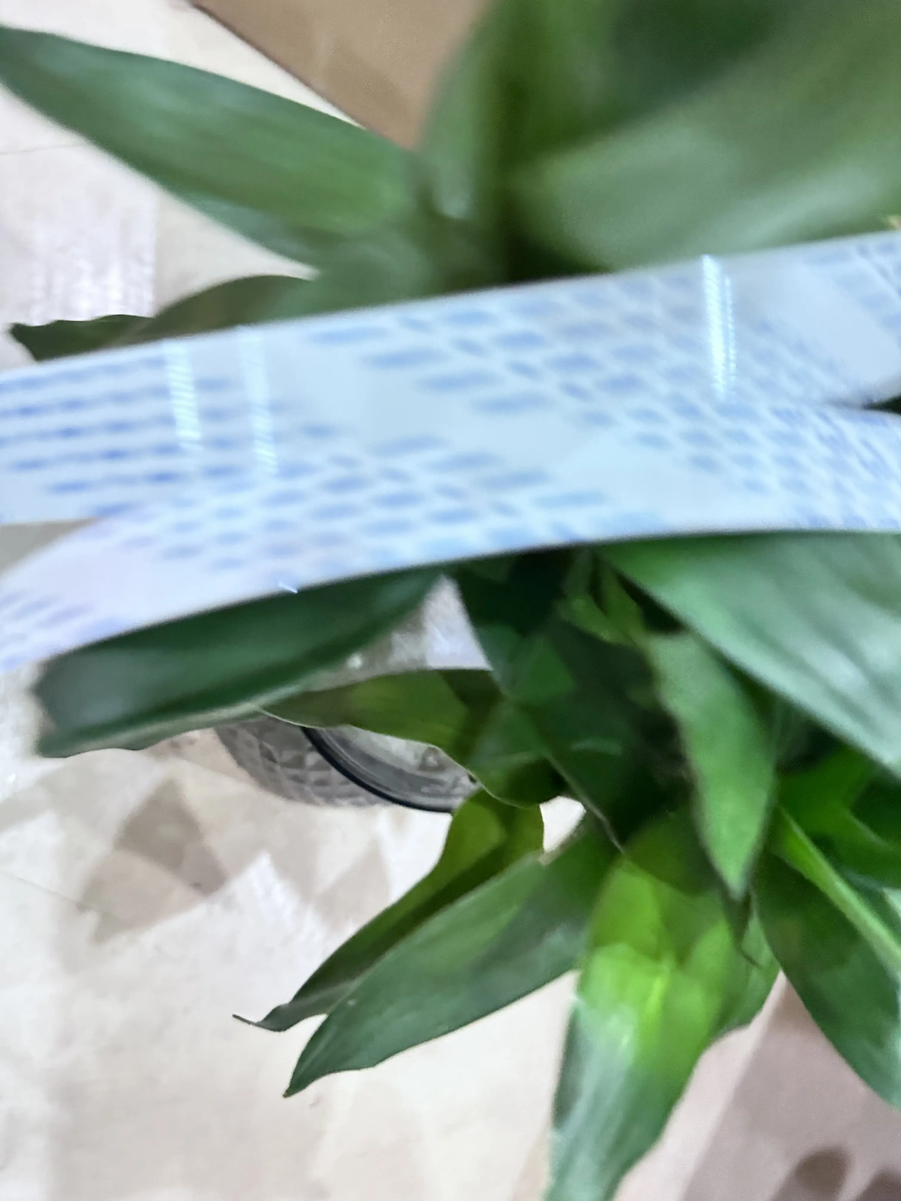 CQ893-67001 Trailin…