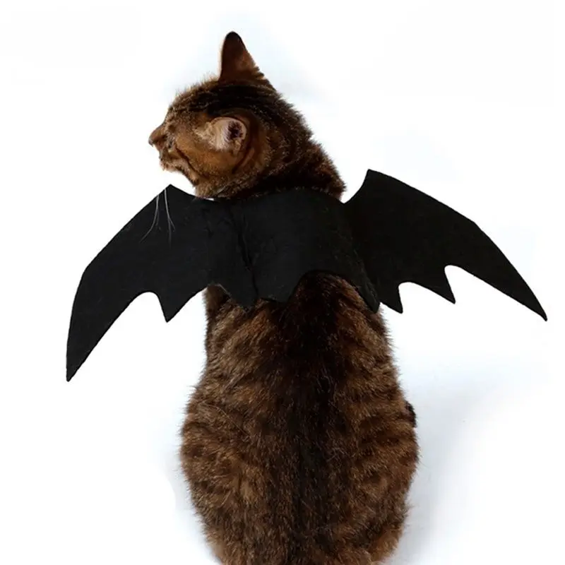 Cute Creative Halloween Party Puppy Funny Bat Wing Cat Clothes Bat Wing Pet Accessories Cosplay Costume
