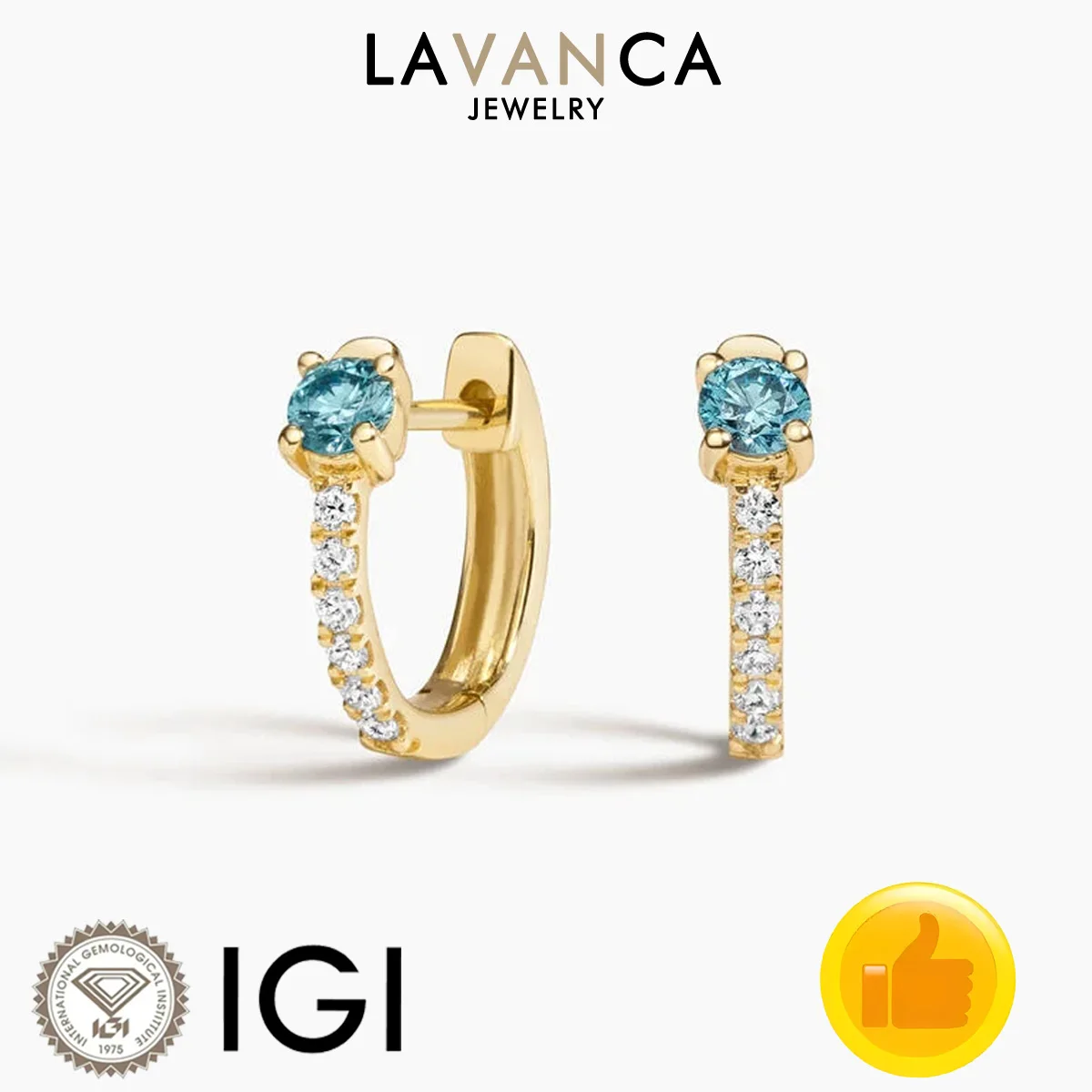 Brilliant Round Lab Grown Diamond Hoop Earrings 9K/14K/18K Solid Gold Lab Created Diamond Hoop Earrings Fine Jewelry for Women
