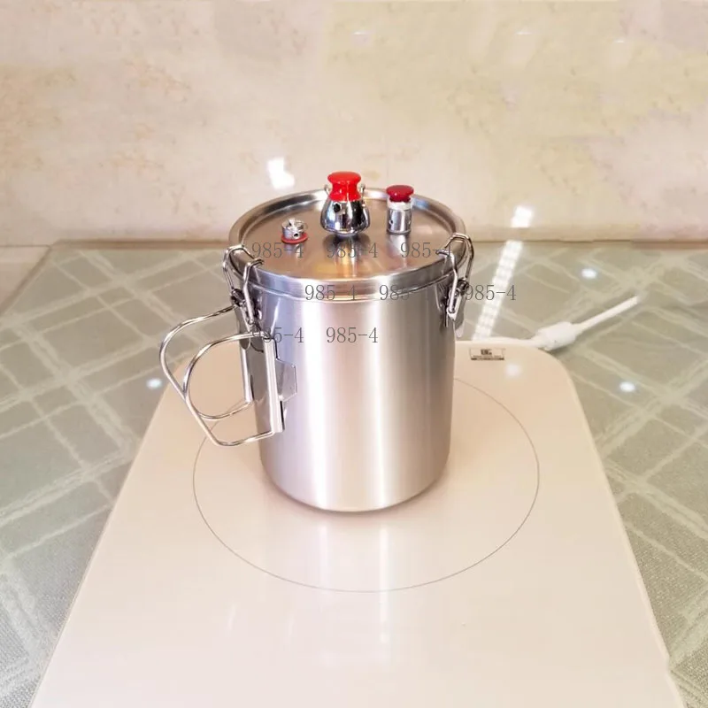 1000ML Lightweight Camping Pressure Cooker Portable Stainless Steel Outdoor Cookware