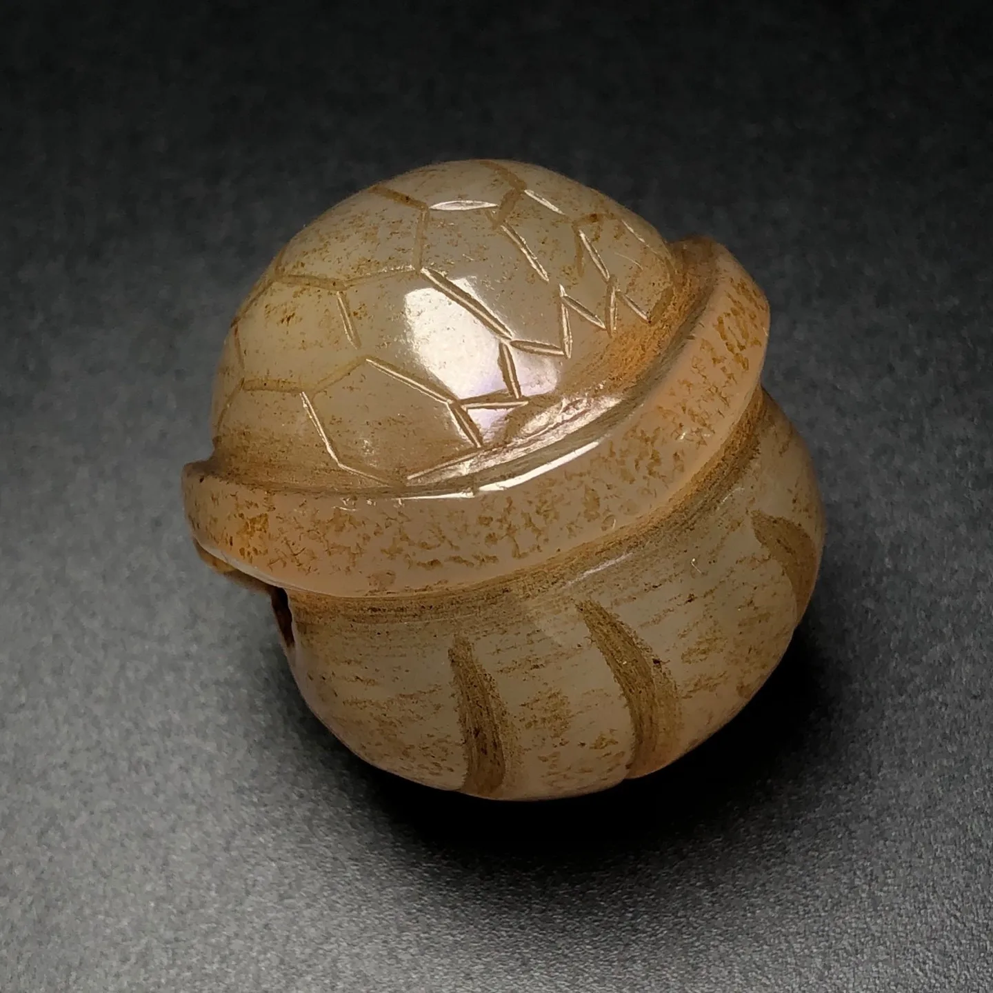 Rare Tibetan Buddhism Agate Turtle Back Dzi Bead Amulet Necklace Pendant Z3212