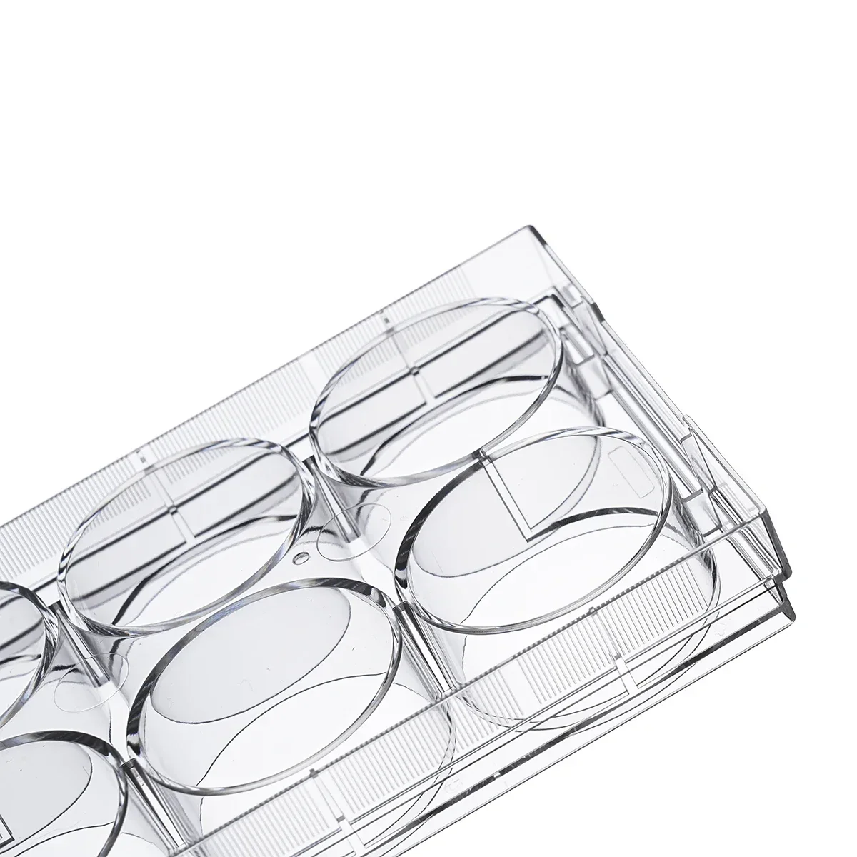 

Биомедические лабораторные принадлежности Haier, оптовая цена, 6-луночная пластина для культуры тканей, тарелка для клеточных культур с крышкой, быстрая доставка