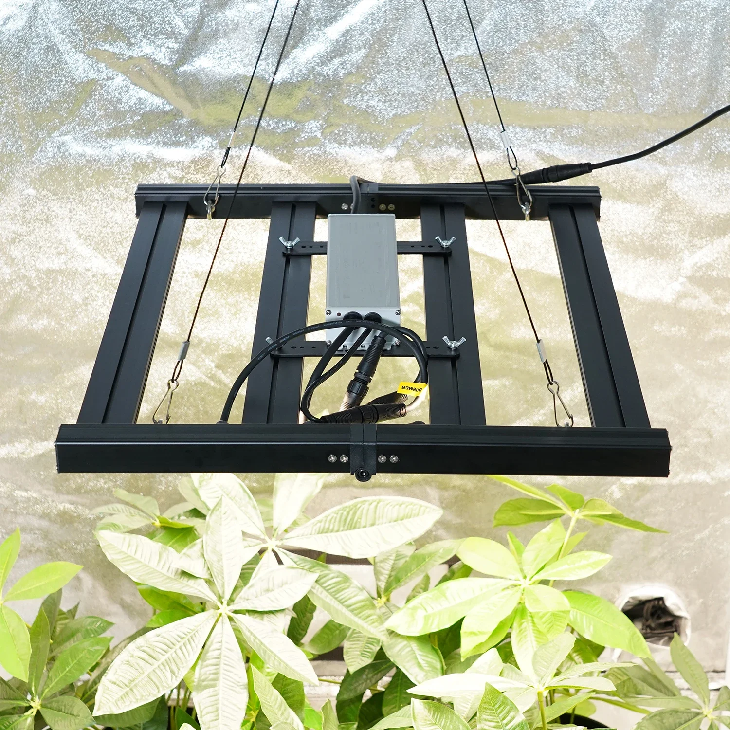 Meijiu Indoor Full Spectrum LED Plant Grow Lamp, Barra de luz para barraca, Substituição de plantas, Hps, 240W, estoque da UE, 2024