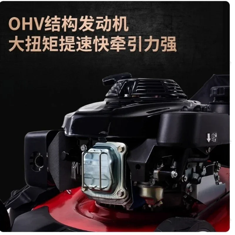 225CC 7 Speed Adjustment High Wheel RWD 3-in-1 Walk Behind Self Propelled Lawn Mower