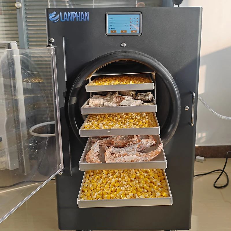 

Home Competitive Price Food Fruit Vegetable High Efficiency Freeze Drying Sublimation Vacuum Freeze Dryer Energy Saving