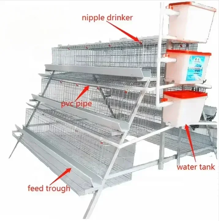 A Type Galvanized Chicken Cages  for Laying Hen Poultry Cage Chicken Layer Cage Used in Poultry Farm