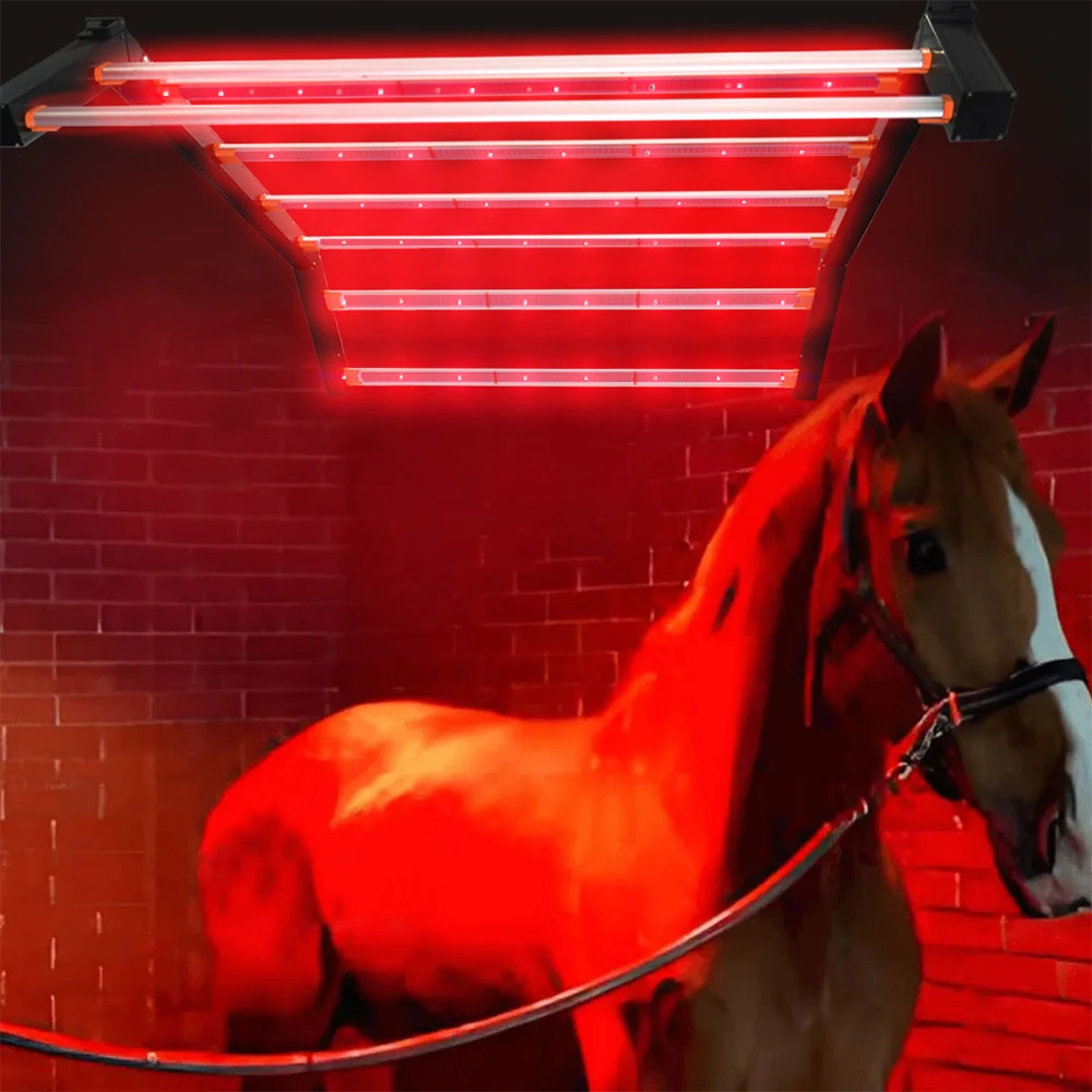 Hot-selling/Animal Use Equine Full Body Led Therapy Bar Light Solarium Red Blue  Therapy Light for Pain Relief Repairing